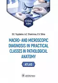 Macro- and microscopic diagnosis in practical classes in pathological anatomy